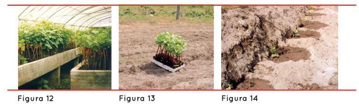 p78 fig8